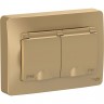 Розетка двойная SCHNEIDER ELECTRIC BLANCA IP44 с заземлением, со шторками, с крышками, 16А, 250В, титан BLNRS441124