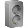 Розетка двойная SCHNEIDER ELECTRIC BLANCA с заземлением, со шторками, 16А, 250В, алюминий BLNRA011203