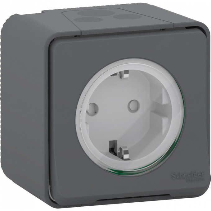 Розетка SCHNEIDER ELECTRIC MUREVA S в сборе, открытая установка, с заземляющим контактом, с защитными шторками, винтовыми клеммами, антрацит, IP55 MUR36731