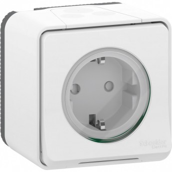 Розетка SCHNEIDER ELECTRIC MUREVA S в сборе, открытая установка, с заземляющим контактом, с защитными шторками, винтовыми клеммами, белый, IP55