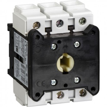 Корпус выключателя-разъединителя SCHNEIDER ELECTRIC TESYS 80А